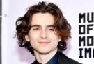 Timothee Chalamet Net Worth 2024: Career & Awards