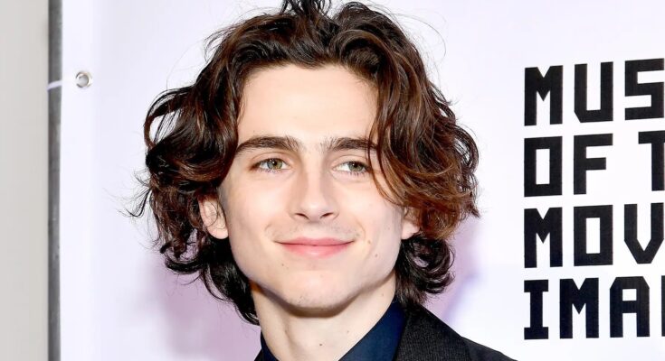 Timothee Chalamet Net Worth